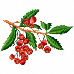 Cherry Embroidery Design 1
